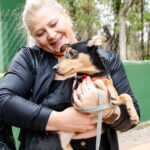 Como acionar serviços de proteção animal em Jundiaí