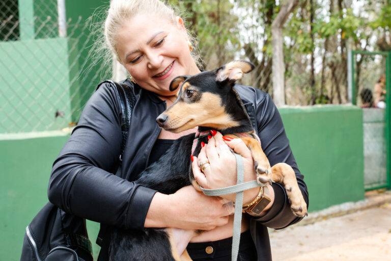 Como acionar serviços de proteção animal em Jundiaí
